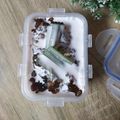 Cooksnap dari NayNay untuk resep Bubur randang khas Kalsel