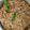 Marthak Jolly's cooksnap of when they made સેઝવાન રાઇસ (Schezwan Rice Recipe In Gujarati).
