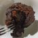 Cooksnap dari Oshe Roosen untuk resep Crunchy Choco Lava Cake Devina Hermawan
