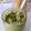 El cooksnap de Manuel S. Muñoz cuando hizo Salsa pesto de aguacate y albahaca.