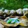Cooksnap dari Mba Wen untuk resep Resep Lapek Bugih/ Lepat Bugis Kue Tradisional Khas Minangkabau