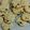Cooksnap dari San's Kitchen untuk resep Milky Chocochip Cookies