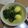 Cooksnap dari Luthfiani Shabrina untuk resep Gulai daun singkong telur rebus
