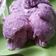 Cooksnap dari Henida Wibowo untuk resep Ice Cream Homemade