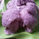 Cooksnap dari Henida Wibowo untuk resep Ice Cream Homemade