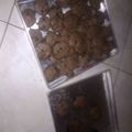 Cooksnap dari Nina Sakinah untuk resep Cookies Oatmeal cemilan fav. Bocil