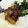Thom Beaumont's cooksnap of when they made Morrocan Lamb Stew.