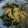 Cooksnap dari Lusi Alexandria untuk resep Mie Ayam Ala Xander's Kitchen
