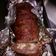 El cooksnap de sergio diaz cuando hizo Rollo de carne picada.