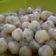 Cooksnap dari icha feehily untuk resep Cilok bumbu kacang