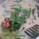 Cooksnap dari Endah Sulistiani untuk resep Bobor daun labu