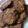 Mk Mahwish's cooksnap of when they made Chapli kabab.