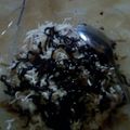 Cooksnap dari Salma Al Maidaniyyah untuk resep Tansu keco (ketan susu coklat keju) cemilan murah meriah