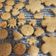 La cooksnap de Ian cuando cocinó Mantecadas de coco