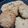 El cooksnap de Maia Salvatierra cuando hizo Cookies de avena miel y naranja.