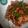 Cooksnap dari Elis untuk resep Telur penyet
