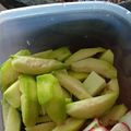 Cooksnap dari sity febri untuk resep Sambal rujak buah/sambal lotis maknyuss