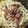 El cooksnap de El Camino De La Gochería cuando hizo Pasta carbonara auténtica.