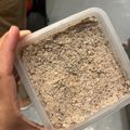 El cooksnap de Fatima Corbalan cuando hizo Untable de setas Portobello y nueces 🌱 Pâté vegetariano con opción vegana 🌱.