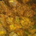 शशि केसरी का कुकस्नैप जब उन्होंने आम का अचार (Aam ka achar recipe in hindi) बनाया था।