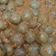 Cooksnap dari wina rodiana untuk resep Cilok Bumbu Kacang Pedas Mantul