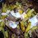 El cooksnap de Marcela cuando hizo Bifes con papas al horno condimentadas.