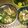 Cooksnap dari Agus Aulia Elluthfi Hamid untuk resep Okra Saus Tomat