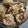 Cooksnap dari Putri Amelia untuk resep Sagu Keju kres-kres no Mixer