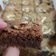 El cooksnap de cocina cuando hizo Brownie de chocolate y aguacate sin gluten🥑🍫.