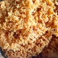 Cooksnap dari endang wuryaningsih untuk resep Ayam Kremes Renyah Bersarang