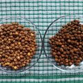Sangita Vyas's cooksnap of when they made મસાલા દાળિયા(masala daliya recipe in Gujarati).