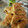 El cooksnap de Mara Medina cuando hizo Scones de queso estilo Starbucks.