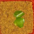 Cooksnap dari chuz untuk resep Abon Ayam Praktis tanpa Minyak
