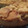 El cooksnap de Pia Chiappero cuando hizo Tarta de Manzana.