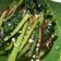 Cooksnap dari Sherin Valerie untuk resep Sawi Daging Cah Bawang Putih