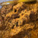 Cooksnap dari ria wati subagio untuk resep Rendang daging