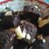 Cooksnap dari £is@_R@is untuk resep Brokus tepung beras(no mixer)