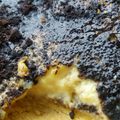 Cooksnap dari Dea Natalia untuk resep Pie Susu NCC