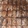 Cooksnap dari Novita Sharie untuk resep Brownies panggang (Fudge brownies)
