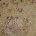 Ruhi wadwa का कुकस्नैप जब उन्होंने बेसन का चीला(besan ka cheela recipe in hindi) बनाया था।