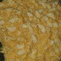 Cooksnap dari Hellen Angraini Gandaria untuk resep Mpasi macaroni saus keju (bayi 10 bulan)