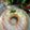 Cooksnap dari Riri Febrina untuk resep Lemon Olive Oil Cake