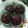 Cooksnap dari Faradis Thausi untuk resep 11. Muffin Choco Chips