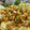 El cooksnap de Lara Aragon " El SARAO DE LARA" cuando hizo Calamares veganos.