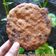 Cooksnap dari Menurumahan untuk resep Brown sugar - choco chips cookies