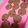 Cooksnap dari Nuriyah nuri untuk resep Chocochips Cookies ala Good Time