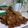 Cooksnap dari zuniatul yuta untuk resep Ayam goreng lengkuas