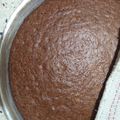 El cooksnap de Elena cuando hizo Torta dulce (con cocoa) sin huevo ni leche.