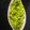 Ila Naik's cooksnap of when they made કોબીજ વટાણા નું શાક (Cabbage Vatana Shak Recipe In Gujarati).