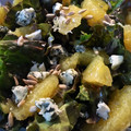 El cooksnap de Andrea dlrg cuando hizo Ensalada de mandarina y queso azul 🍊.